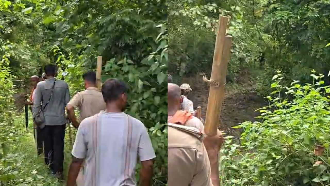 West Champaran: बुजुर्ग पर हमला करने वाला बाघ कुछ घंटों बाद मिला मृत, मौत की वजह जानने में जुटा वन विभाग