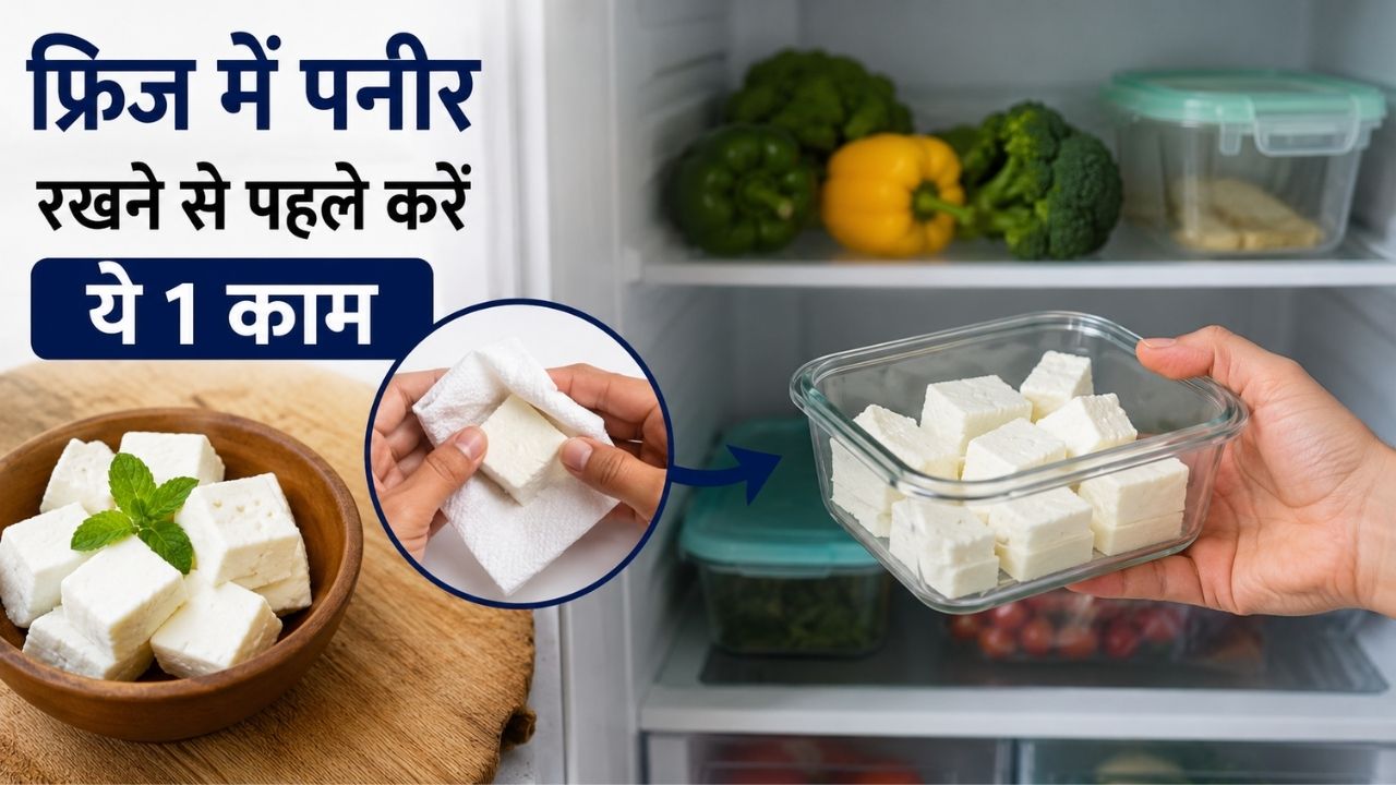 How To Store Paneer: फ्रिज में पनीर रखने से पहले करें ये 1 काम, हफ्तों तक बना रहेगा एकदम ताजा और सॉफ्ट