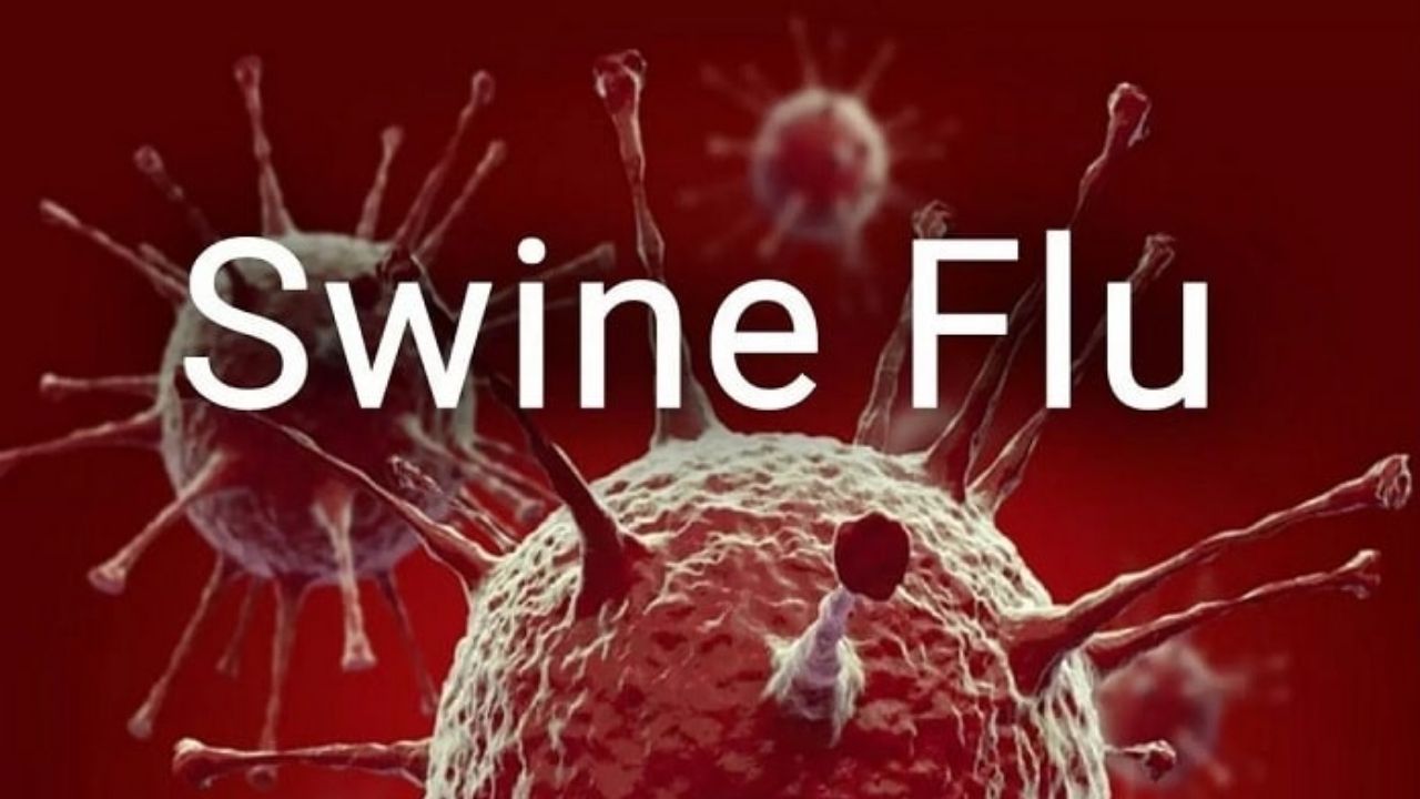 Health Alert: Swine Flu से यूपी में पहली मौत; इन लक्षणों को न करें नजरअंदाज