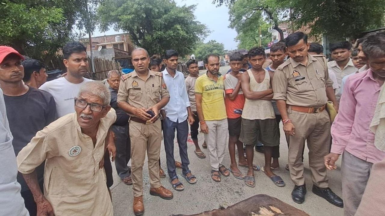तेज रफ्तार कार ने गाय को मारी टक्कर, मौत के बाद ग्रामीणों ने डॉक्टर को घेरा; जांच में जुटी पुलिस
