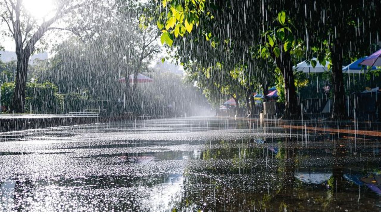 Weather Update: आज कहां बरसेगी आफत? दिल्ली से UP और राजस्थान तक मौसम का बड़ा अलर्ट