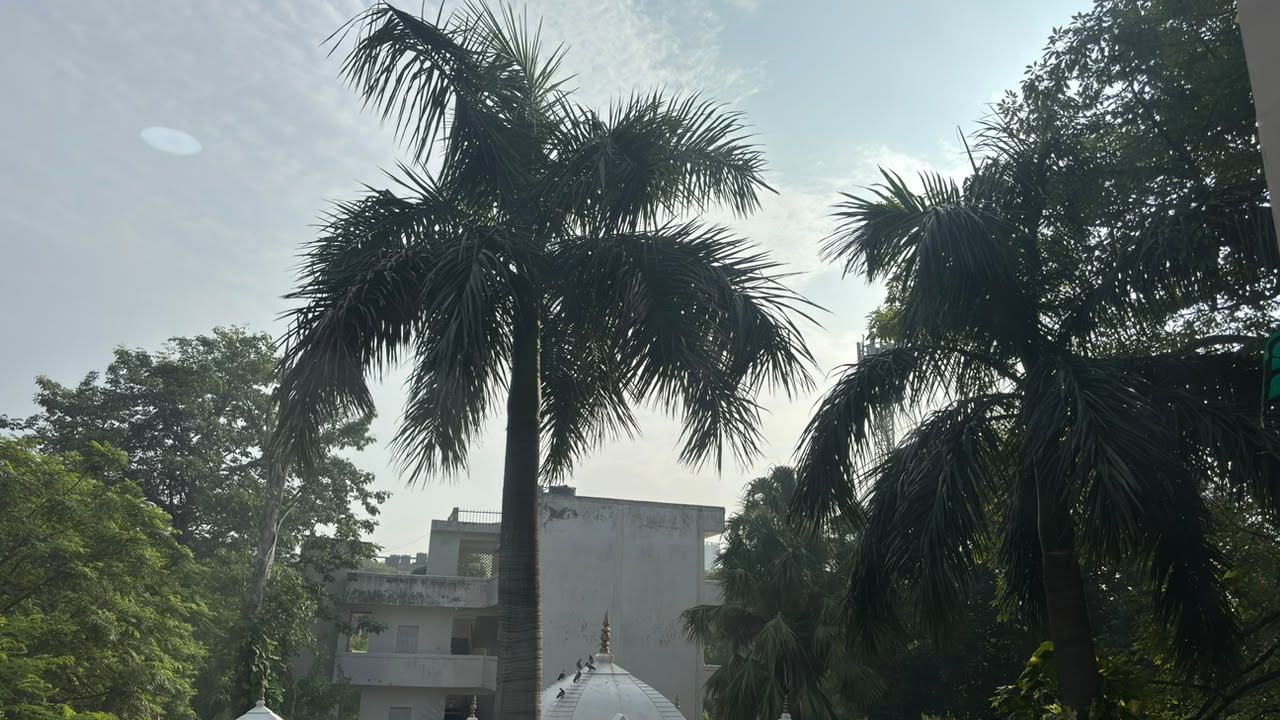 रात में बरसे बादल तो दिल्ली हुई कूल-कूल, लेकिन उमस बढ़ाएगी टेंशन! जानें अगले 7 दिन का हाल