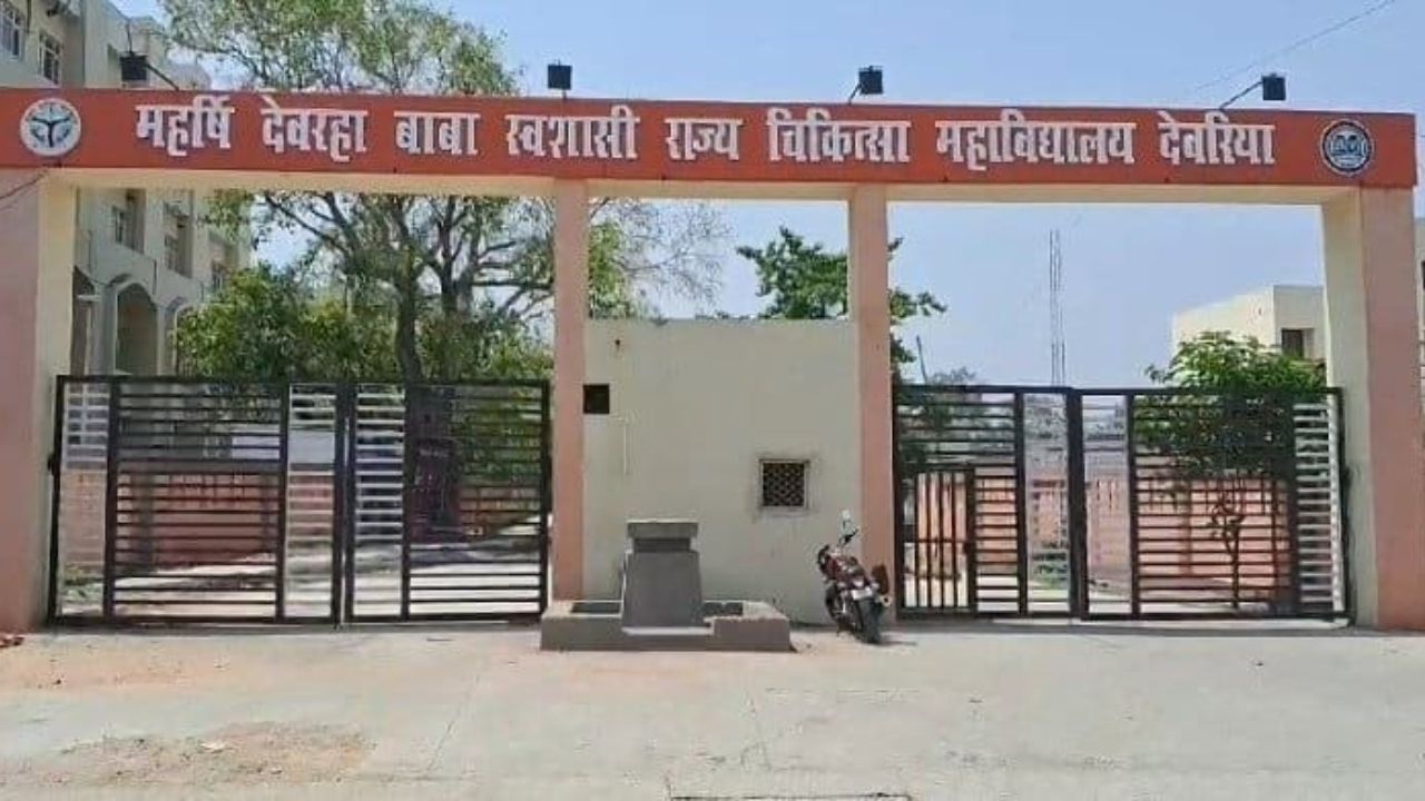 देवरिया में जलभराव के बीच सर्पदंश की घटनाओं में इजाफा, स्वास्थ्य विशेषज्ञों ने दी यह विशेष सलाह