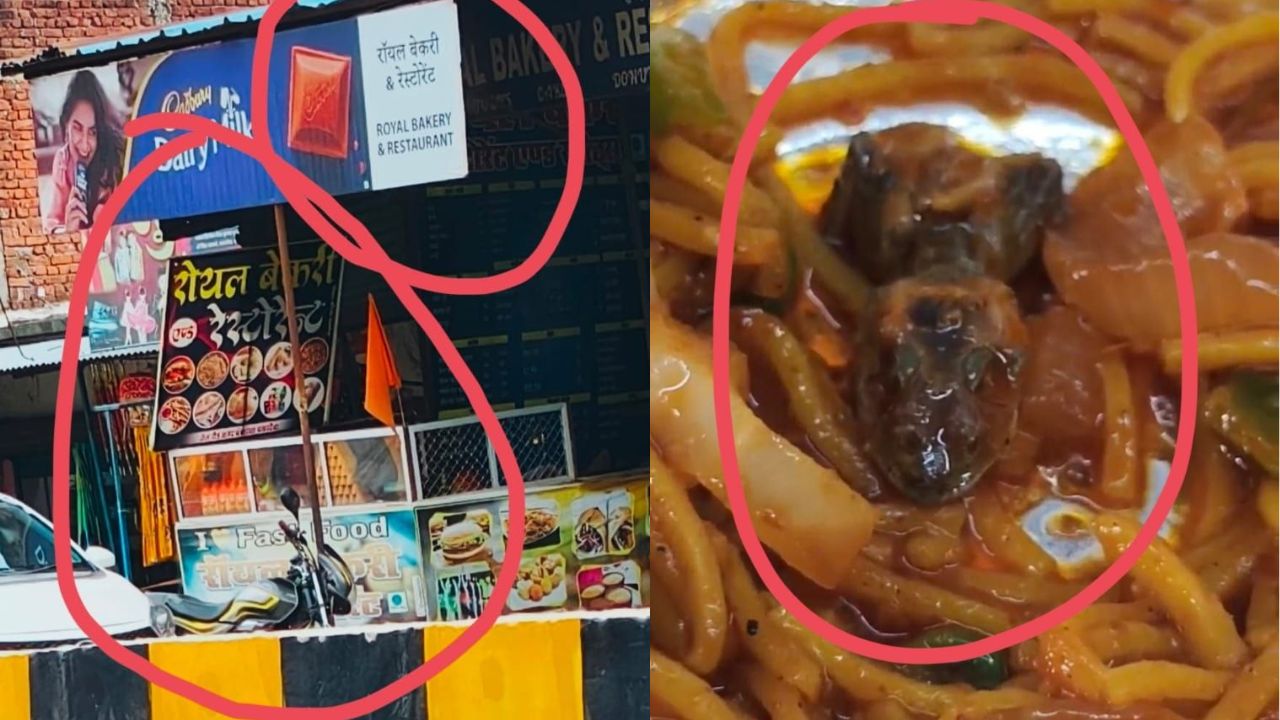 Deoria: रेस्टोरेंट की चाऊमीन में अचानक दिखा कुछ ऐसा भयानक… देखकर उड़े ग्राहक के होश, मची अफरातफरी
