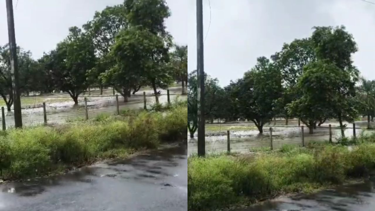 Farrukhabad Flood: लगातार बारिश और गंगा के रौद्र रूप से राजेपुर में संकट, फसलें जलमग्न और संपर्क टूटने का डर