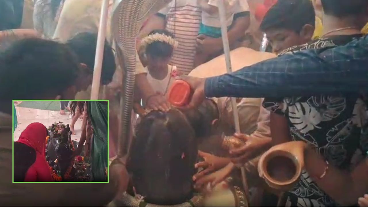 भोलेनाथ की भक्ति में डूबा बदायूं, जलाभिषेक के लिए पहले सोमवार पर उमड़ा शिव भक्तों का सैलाब