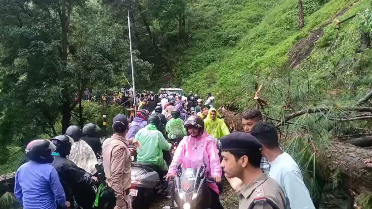 Nainital News: हल्द्वानी मार्ग पर पेड़ गिरते ही एक्टिव हुए अफसर, मिनटों में खुलवाया रास्ता