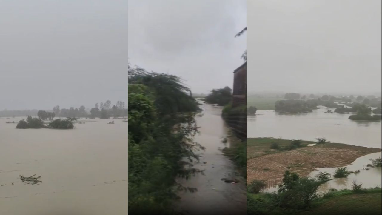 आसमान से आफत की बौछार, रौद्र रूप में नदियां: चंद्रावल और सीहोर के उफान से कांपा हमीरपुर! क्या डूब जाएंगे दर्जनों गांव?