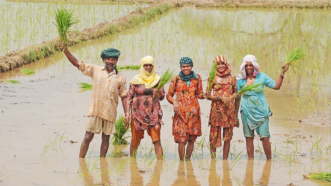 PM-KUSUM Yojana: अब खेतों से होगी पैसों की बरसात: सोलर पंप लगाने पर 60% सब्सिडी दे रही सरकार, ऐसे उठाएं फायदा