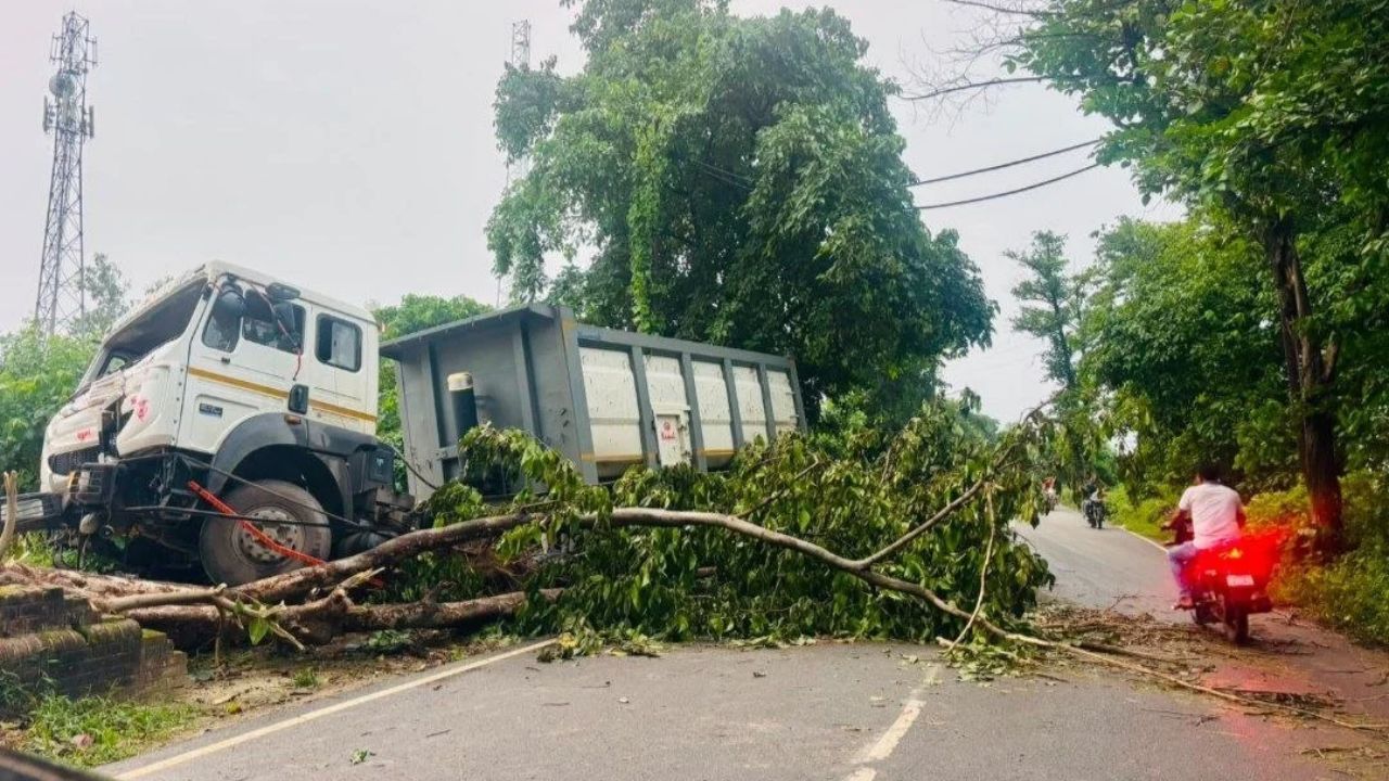 रात में गिरा पेड़, दोपहर तक नहीं जागी पुलिस! रुद्रपुर मार्ग पर थमीं गाड़ियों की रफ्तार, लगा लंबा जाम