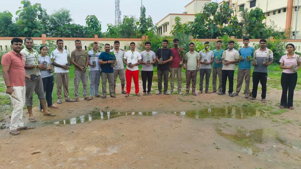 Tree plantation in Sultanpur