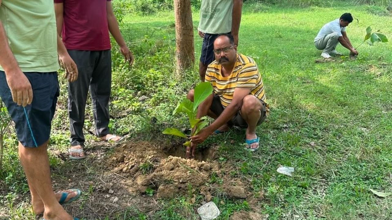 Tree plantation in Sultanpur