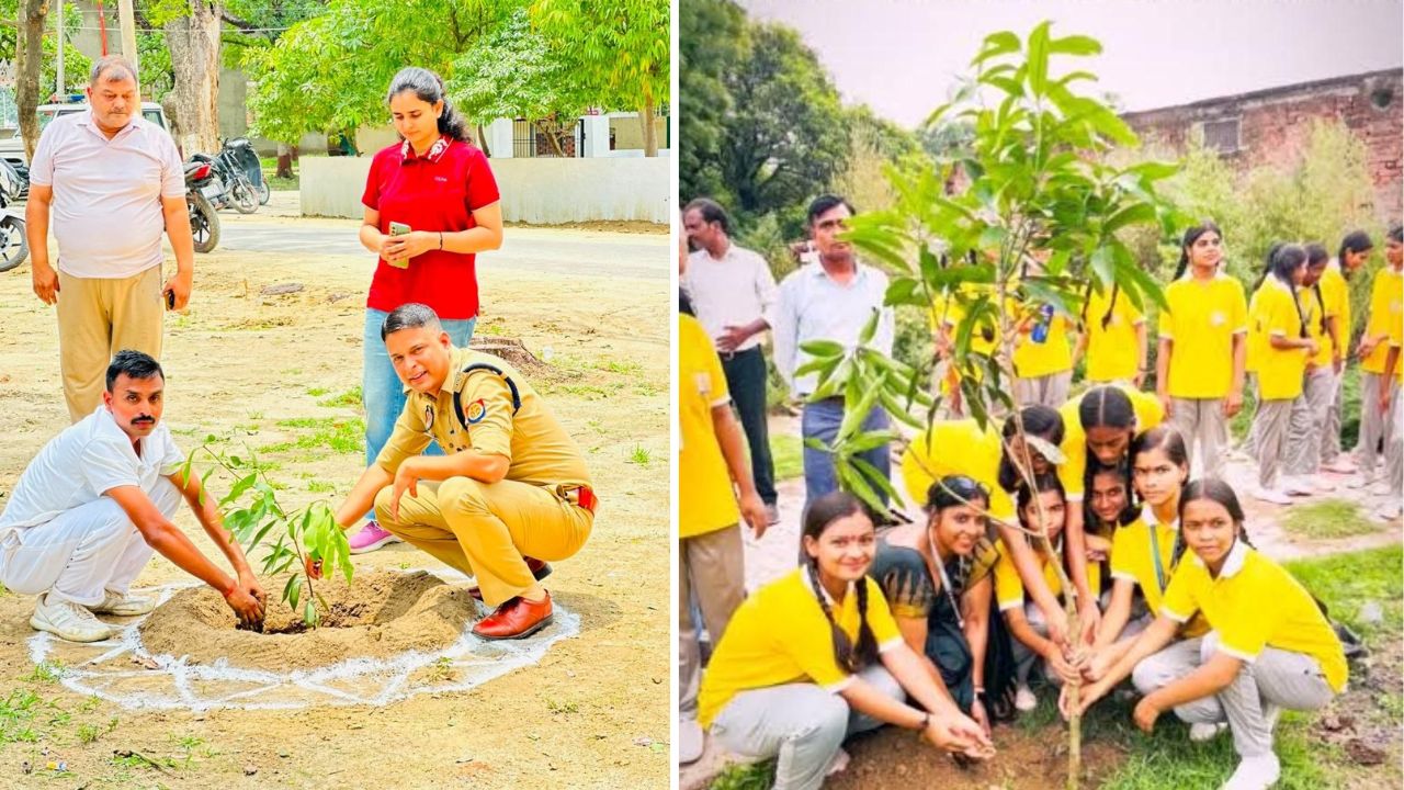 Sultanpur News: सुल्तानपुर में हरियाली के लिए करोड़ों के खर्च पर उठने लगे सवाल