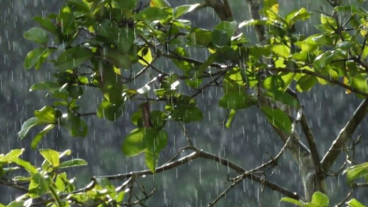 दो दिन की राहत के बाद फिर आफत! यूपी के 11 जिलों में बारिश-वज्रपात का अलर्ट, कहीं आपका जिला तो नहीं?