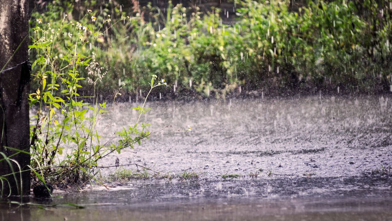 UP Weather Update: कहीं झमाझम तो कहीं उमस! आज यूपी के 15+ जिलों में बारिश का अलर्ट, पढ़ें IMD की चेतावनी