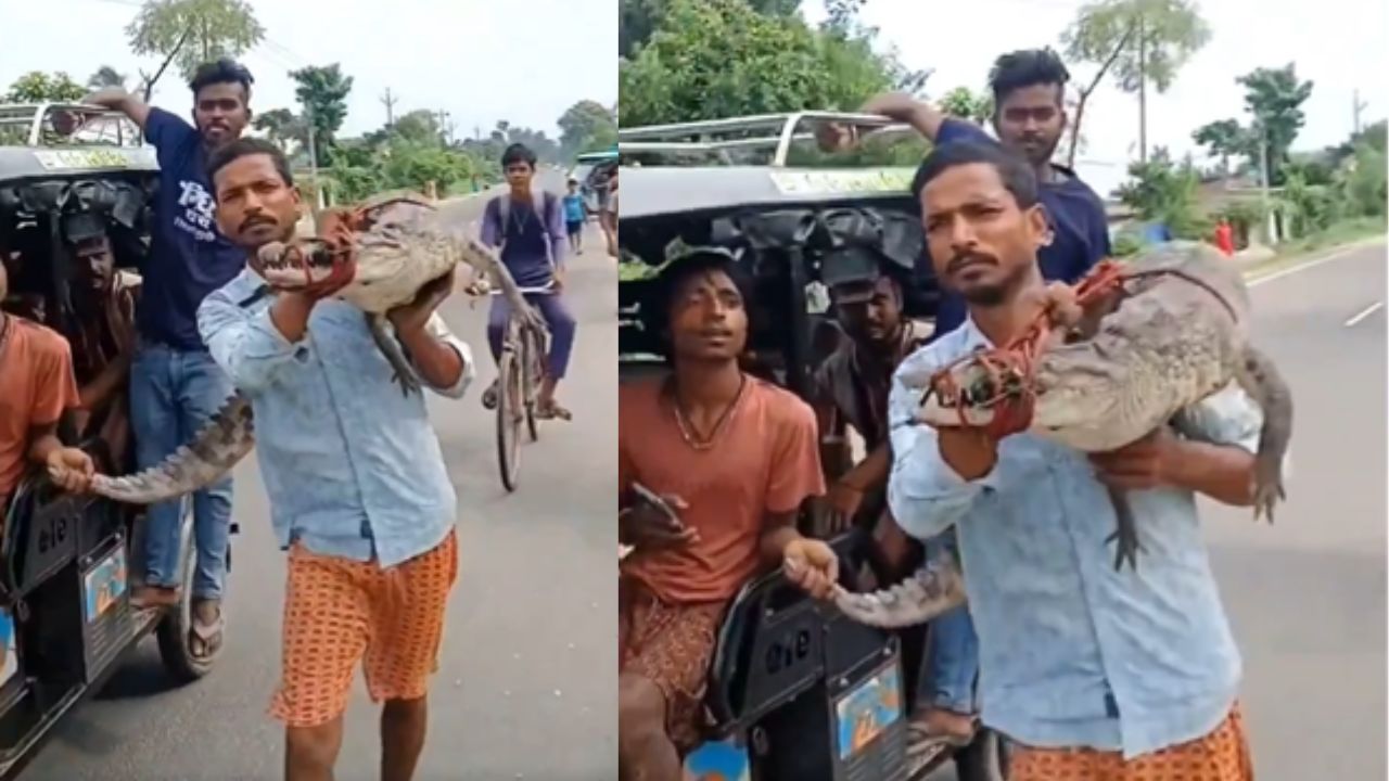 मगरमच्छ को रस्सी से बांधा, फिर कंधे पर उठाया और पहुंच गया थाने… सुपौल का वीडियो देख उड़ जाएंगे होश!