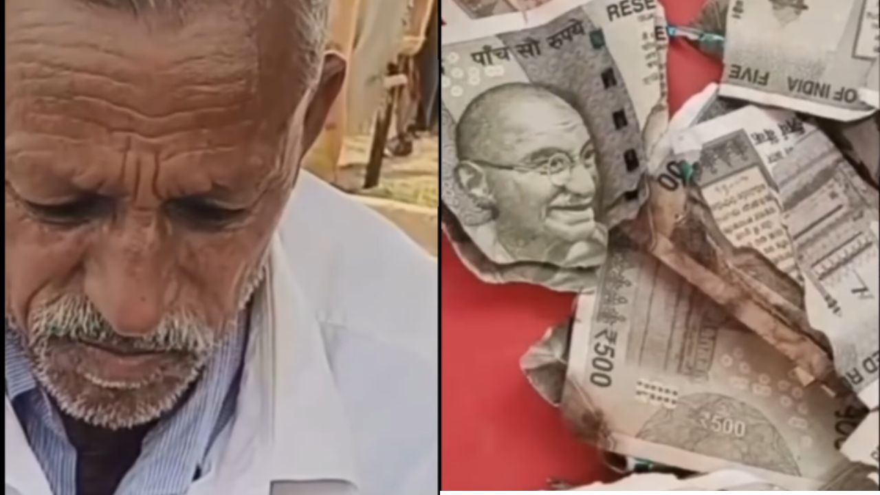 Balotra News: किसान ने बेटों और चोरों से छिपाकर खेत में गाड़े थे 5 लाख, एक साल बाद खोदा तो पैरों तले खिसक गई जमीन