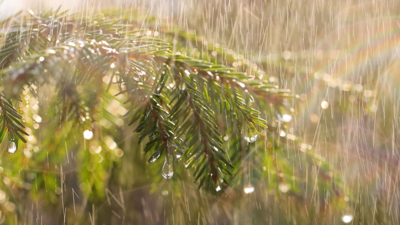 Monsoon Alert: सुस्त नहीं, सुपर एक्टिव हुआ मानसून! दिल्ली-यूपी से राजस्थान तक आंधी-बारिश का रेड अलर्ट