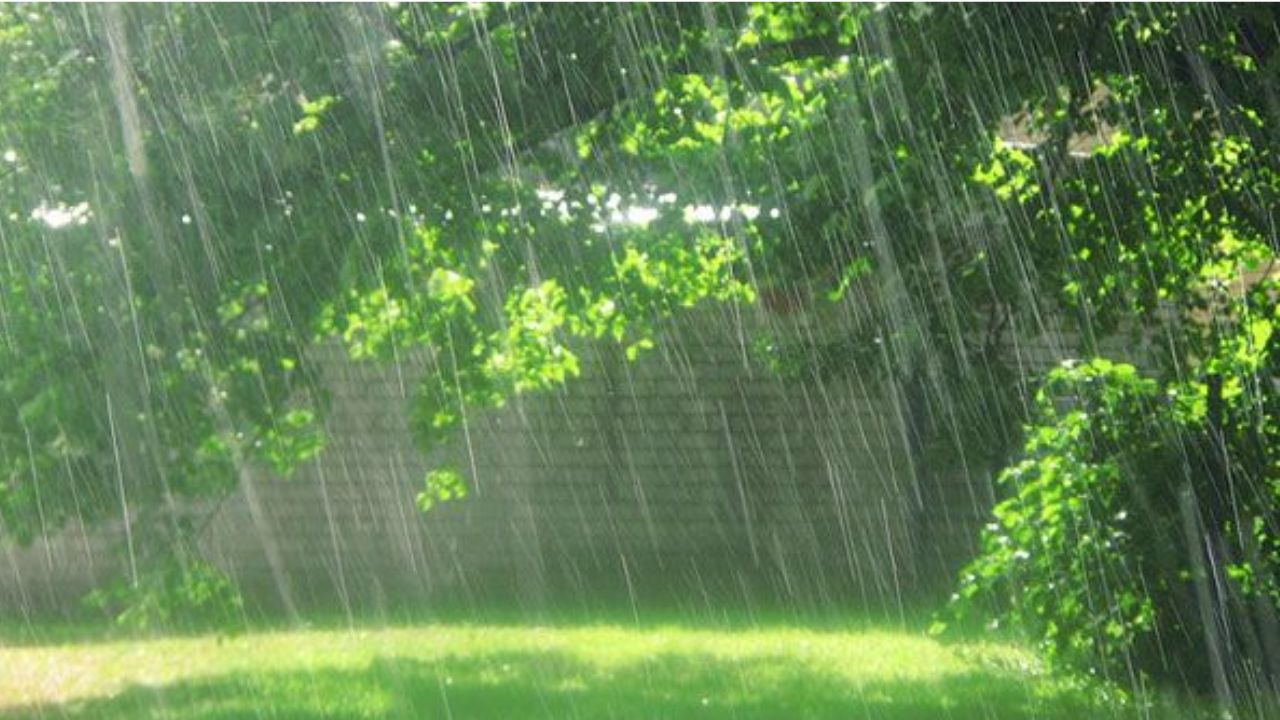 Weather Update: यूपी में आज होगी झमाझम बारिश या निकलेगी धूप? इन जिलों में अलर्ट, कहीं आपका शहर भी तो नहीं!