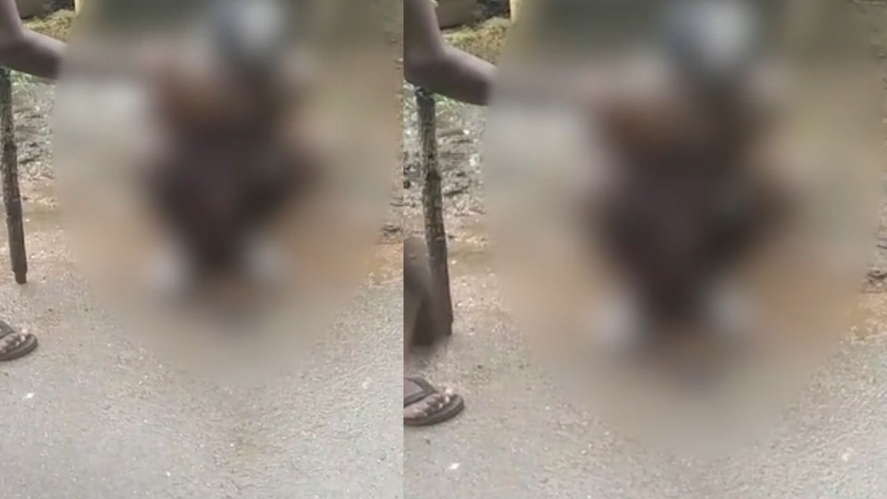 जूते की माला, मुंडे बाल और चेहरे पर चूना… सोनभद्र कांड ने मचा दी सनसनी