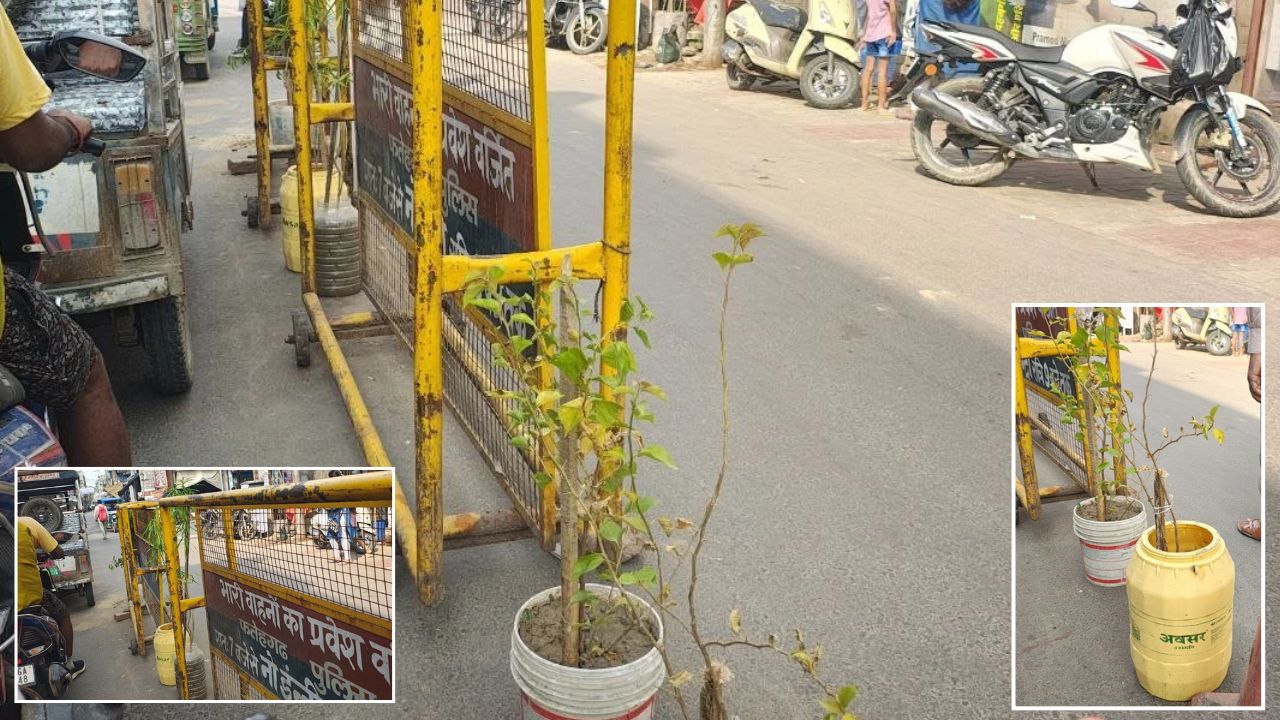 रोशनी से चमकी रेलवे रोड, लेकिन पौधों ने खोल दी सुंदरीकरण की पोल? प्लास्टिक के डिब्बों में हरियाली पर उठे सवाल