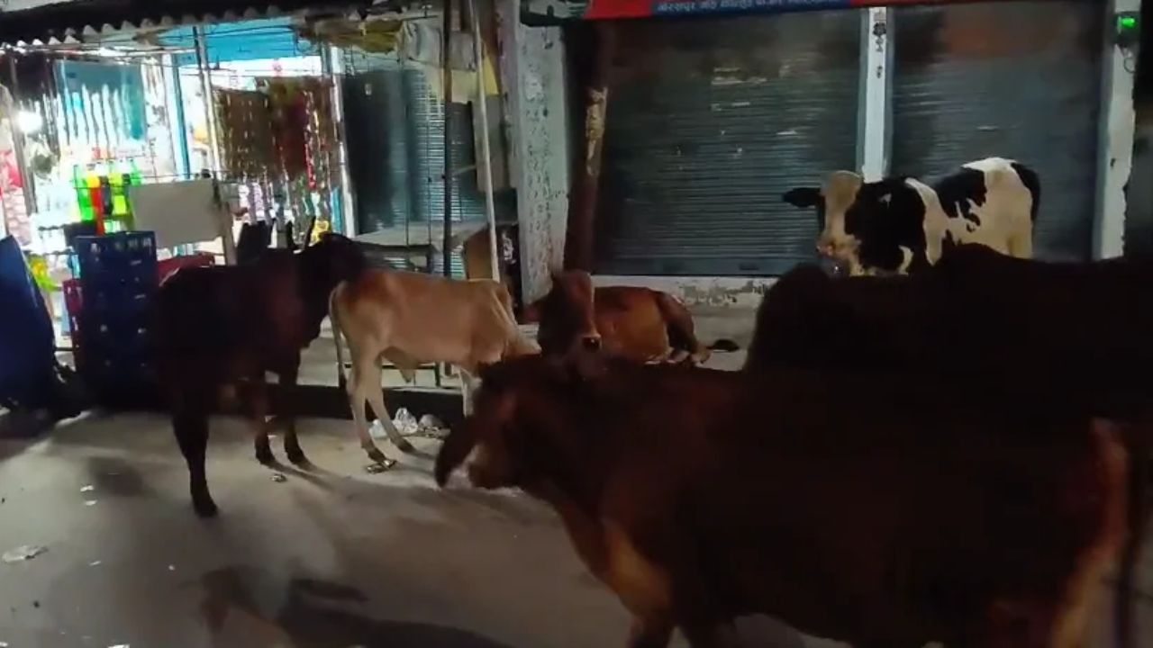 कोल्हुई की सड़कों पर मंडरा रहा खतरा, प्रशासन की चुप्पी पर उठे सवाल