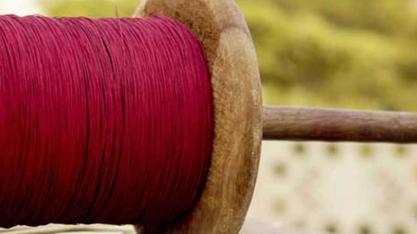 बड़ी खबर: स्वतंत्रता दिवस पर पतंग उड़ाना बना काल, गाजियाबाद में चाइनीज मांझे ने ली नोएडा के युवक की जान