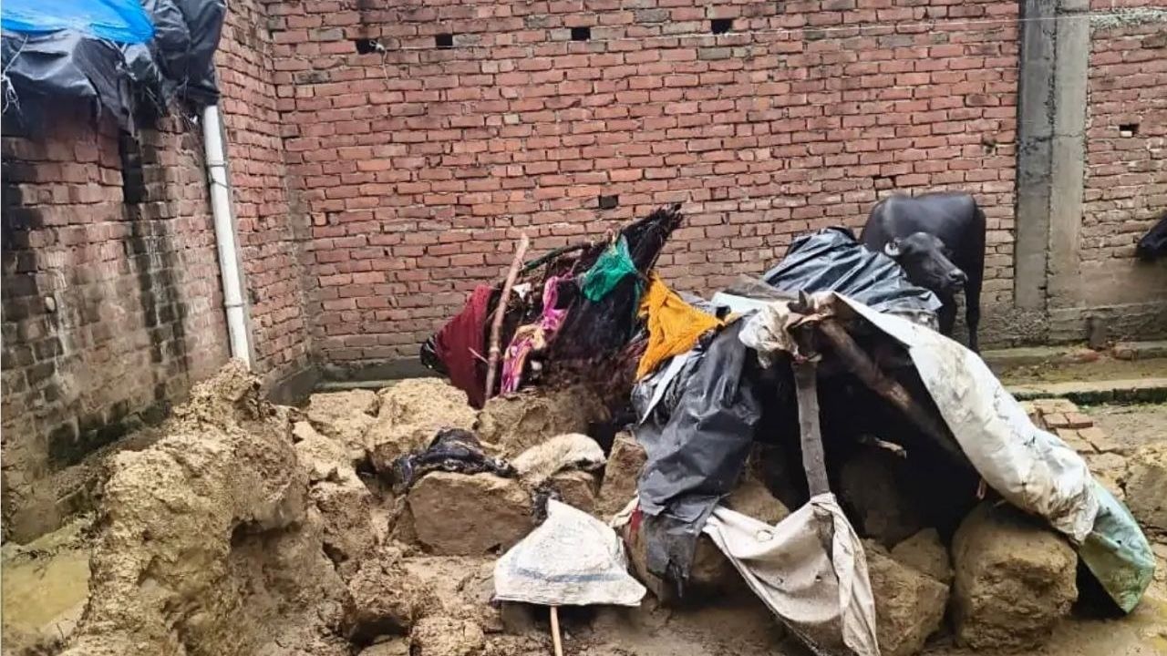 बेजुबानों को चारा दे रहा था युवक, तभी आ गिरी दीवार; सीतापुर में भयानक मानसूनी आफत का कहर