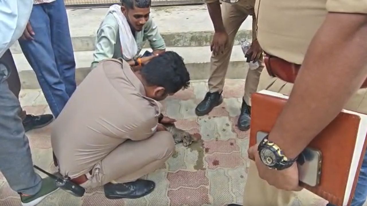 थम चुकी थीं सांसें, लेकिन नहीं टूटा हौसला; 10 मिनट की जद्दोजहद और लौट आई बेजुबान की जिंदगी