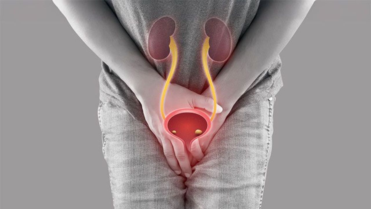 Holding Urine Side Effects: पेशाब रोकने की आदत छोड़ दें, वरना शरीर में हो सकती हैं ये बीमारियां!