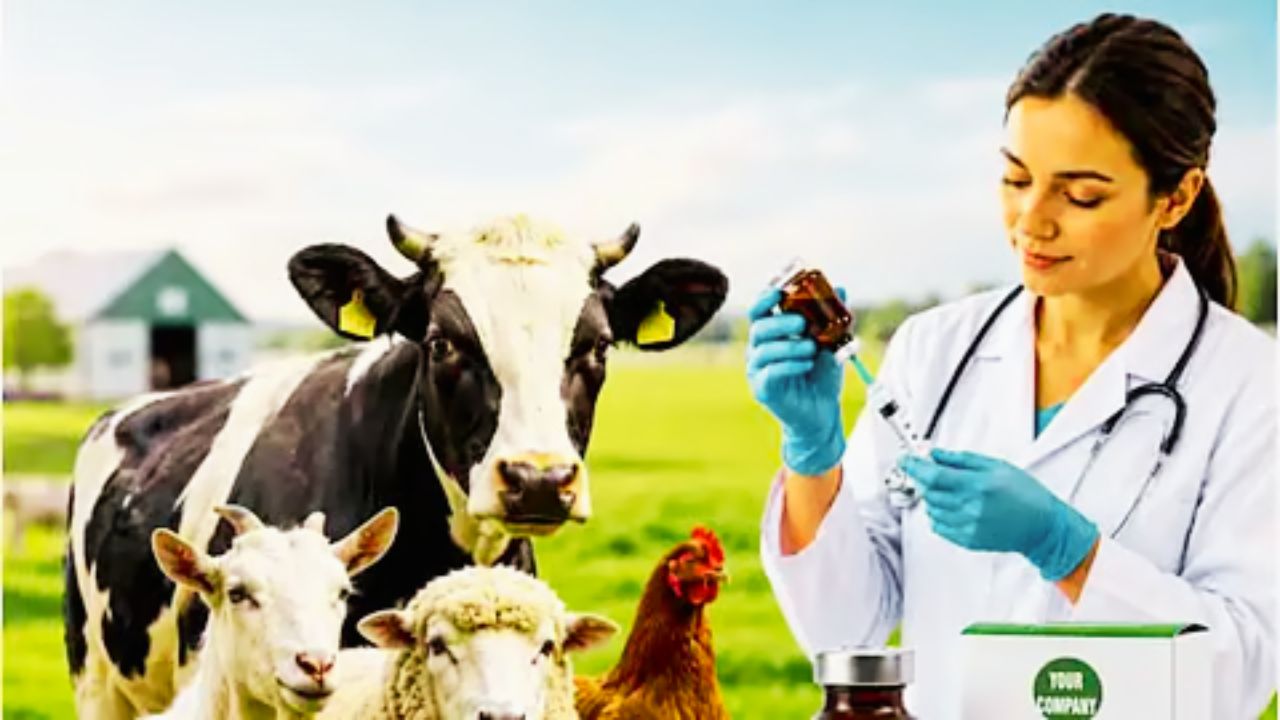 Up Veterinary Pharmacist Recruitment: यूपी में वेटनरी फार्मासिस्ट के पदों पर बंपर जॉब, जानें  पूरी डिटेल