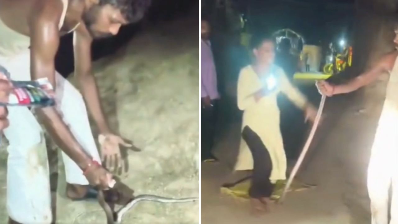 नशे की धूत में युवक ने की ऐसी खौफनाक हरकत, देखकर सहम गए लोग; पुलिस के भी छूटे पसीने, Video Viral
