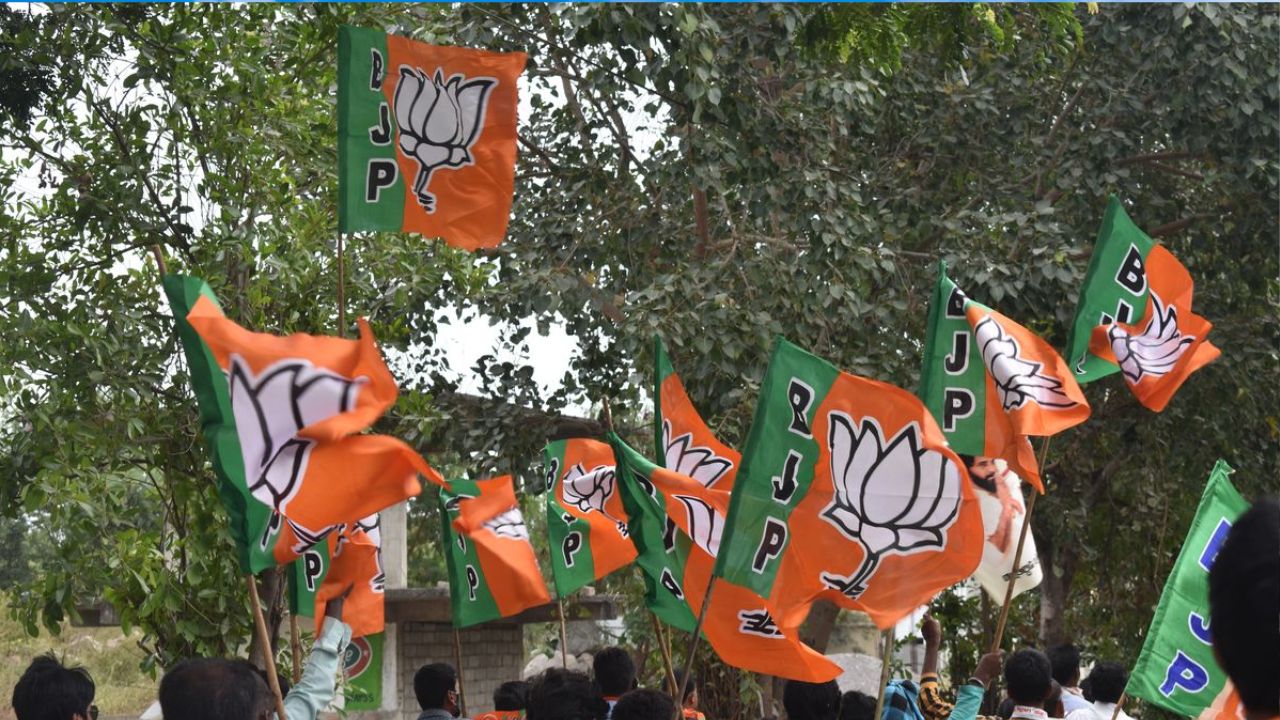 BJP में राज्यसभा-MLC टिकट का फैसला कैसे होता है? आखिरी नाम तक पहुंचने के पीछे चलता है पूरा संगठनात्मक गणित