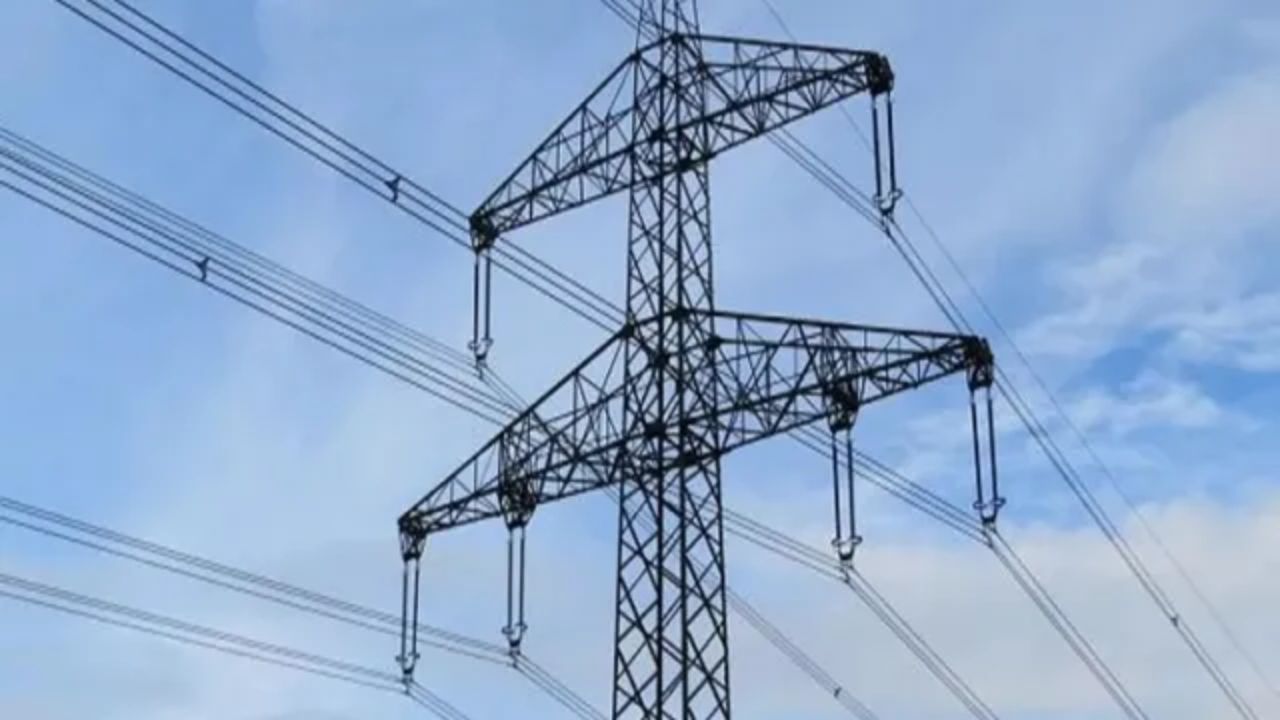 लकड़ी तोड़ने पेड़ पर चढ़ा था 32 साल का युवक, 11 हजार वोल्ट की लाइन ने छीन ली जिंदगी; 6 बच्चों ने खोया पिता