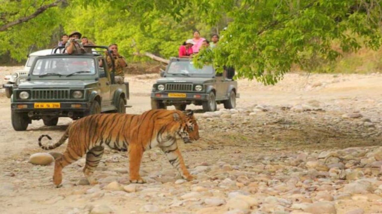 उत्तराखंड में पर्यटन का रिकॉर्ड ब्रेक उछाल, लेकिन कुदरत और वन्यजीवों पर बढ़ा विनाशकारी दबाव, विशेषज्ञ चिंतित