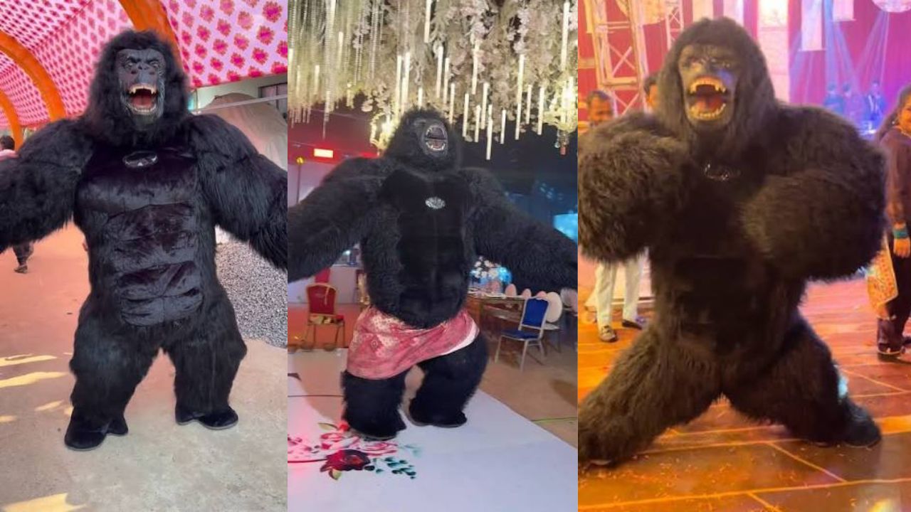 भारत से चुराया आइडिया और चीन से मंगाए सूट… पाकिस्तानी शादियों में छाया गोरिल्ला डांस का मजेदार क्रेज
