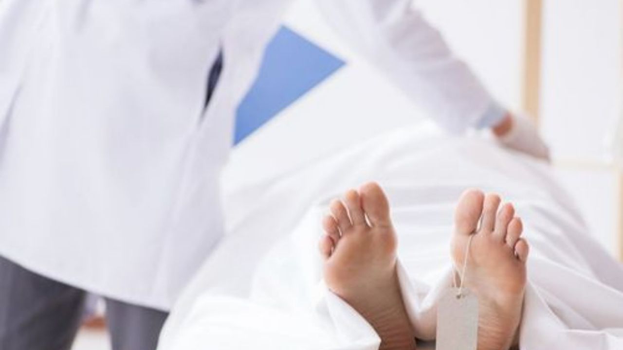 पोते की ढाल बनी दादी की बलि: कलयुगी बेटे ने बांस के वार से छीनी मां की सांसें, दरभंगा में सनसनी