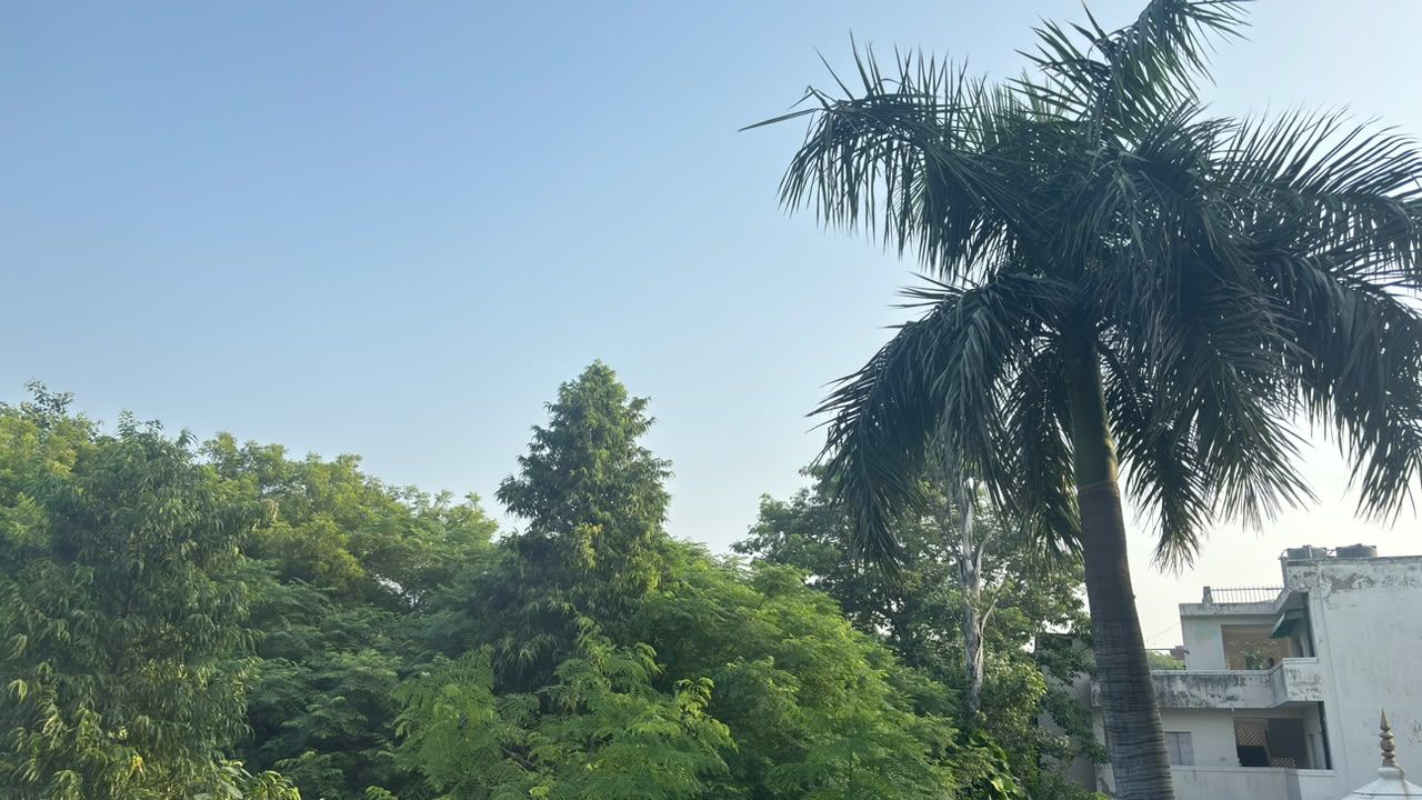 Delhi-NCR Weather: मानसून की विदाई से पहले फिर बदला मौसम, आज बारिश के कितने आसार?