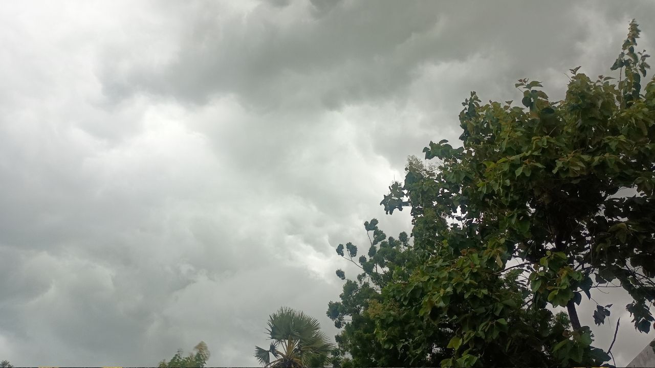 Deoria: आधे घंटे की बारिश ने बदल दिया देवरिया का मौसम, उमस से राहत के साथ धान की फसल को मिला सहारा