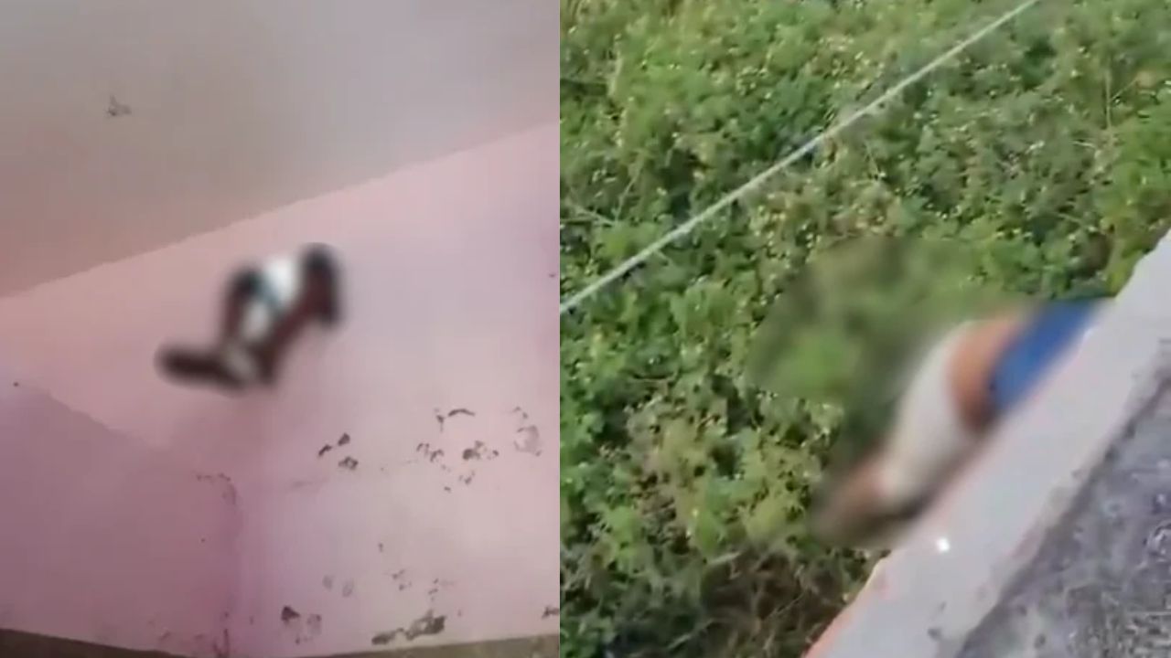 दीवार से लटकता पैर, बाहर निकला सिर और खामोश सांसें: गाजियाबाद के फार्म हाउस में खौफनाक मंजर, चोरी की कोशिश या मौत की साजिश?