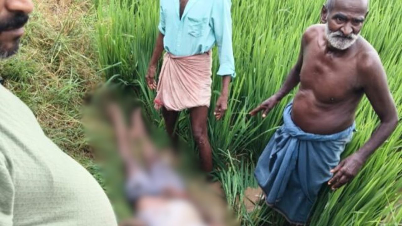 गोरखपुर में आकाशीय बिजली ने मचाई तबाही: खेत में काम कर रहे किसान की मौत, युवक गंभीर रूप से झुलसा