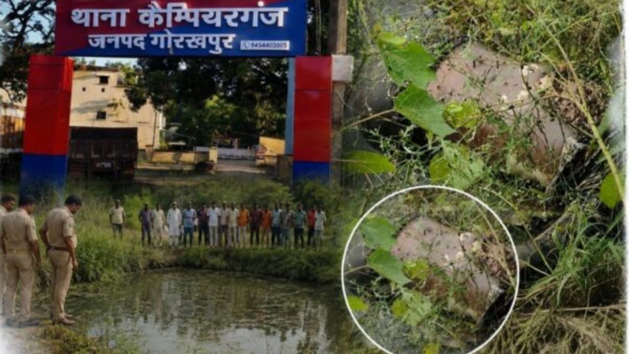 गोरखपुर में पानी से भरे गड्ढे में मिला कई दिन पुराना शव, जानवरों ने नोचा; पहचान बनी पहेली
