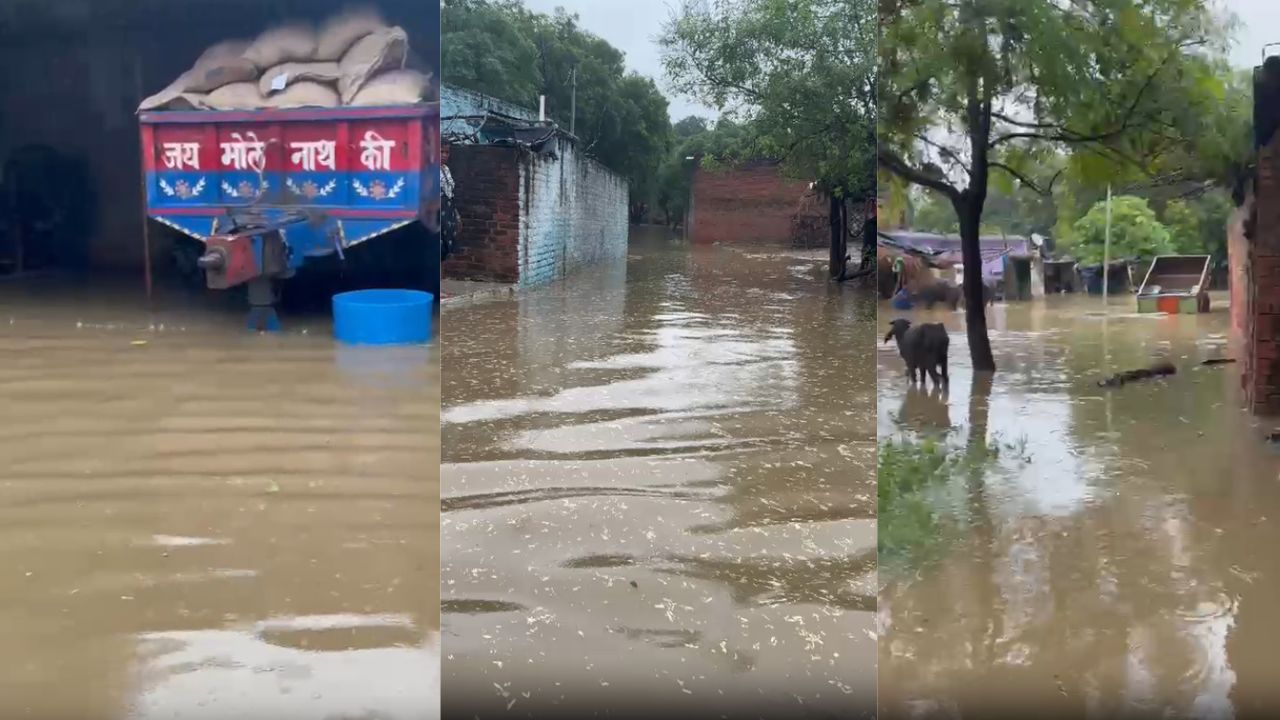 कानपुर में बारिश का असर: ऑफिस-बाजार से लेकर गांव तक जनजीवन प्रभावित, रविवार तक राहत के आसार कम