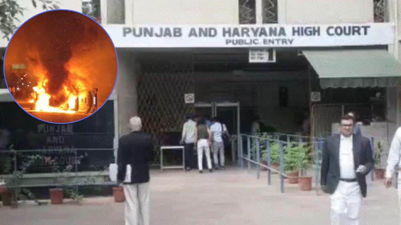 LPU हिंसा और लूटपाट मामला: सच की तह तक जाने के लिए हाईकोर्ट में याचिका, CBI जांच पर कल होगी सुनवाई