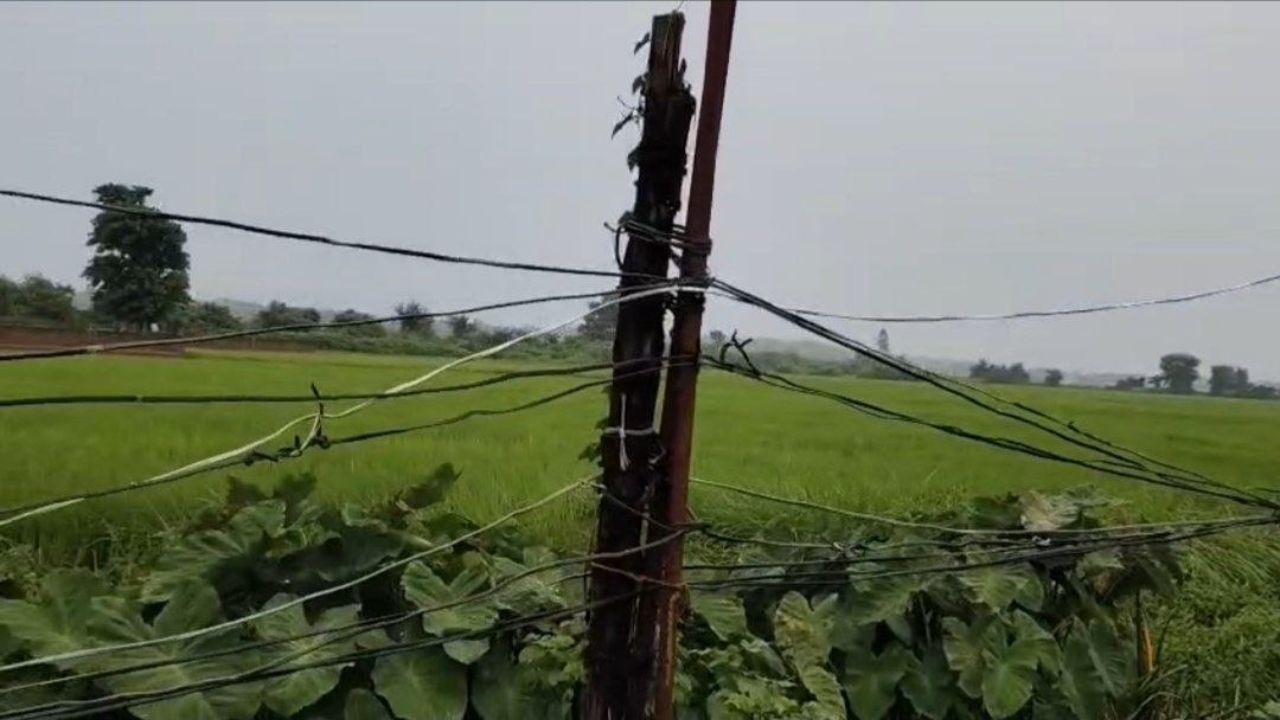 महराजगंज में बिजली व्यवस्था की खुली पोल, लकड़ी के डंडों के सहारे खिंचे तार; कभी भी हो सकता है बड़ा हादसा