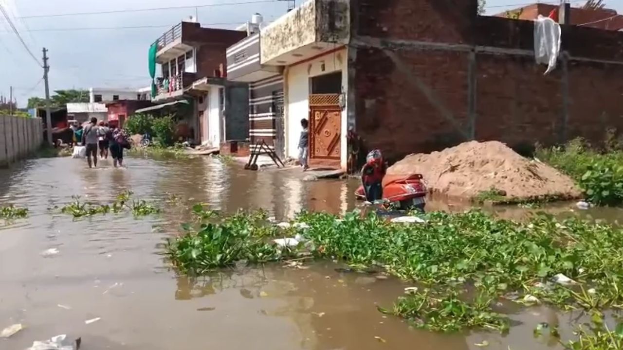 कानपुर में बाढ़ का कहर: पाण्डु नदी का जलस्तर बढ़ने से बर्रा-8 से गुजैनी तक डूबे रास्ते, घरों में कैद होने को लोग मजबूर