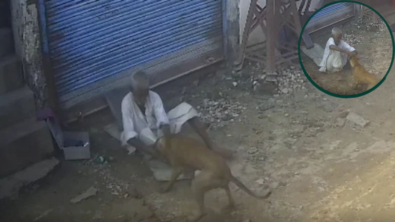 आखिर क्यों घरों से बाहर निकलना हुआ दूभर? गोरखपुर में बच्चों समेत 42 लोगों पर अचानक टूटा कहर; जानिए क्या है कारण?