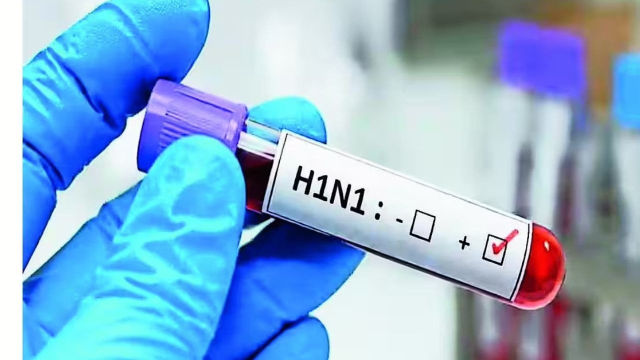 Swine Flu Alert: दिल्ली में स्वाइन फ्लू का कहर! 3800 से ज्यादा मामले सामने आए; अस्पतालों में बढ़े मरीज