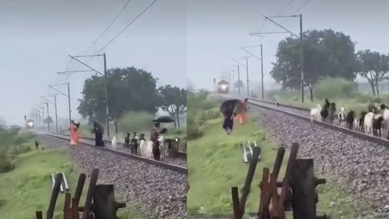 आंखों के सामने उजड़ गई गरीबों की दुनिया! पलक झपकते ही 12 बेजुबानों की मौत, रोती-बिलखती रहीं महिलाएं