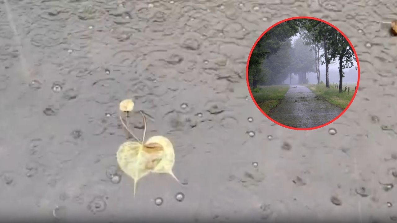 Weather Update: कानपुर में रात से बारिश का दौर, आज फिर बिगड़ेगा मौसम? IMD ने जारी किया ये अलर्ट